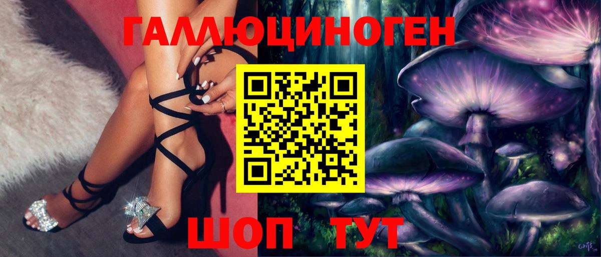 Галлюциногенные грибы Psilocybe Сунжа